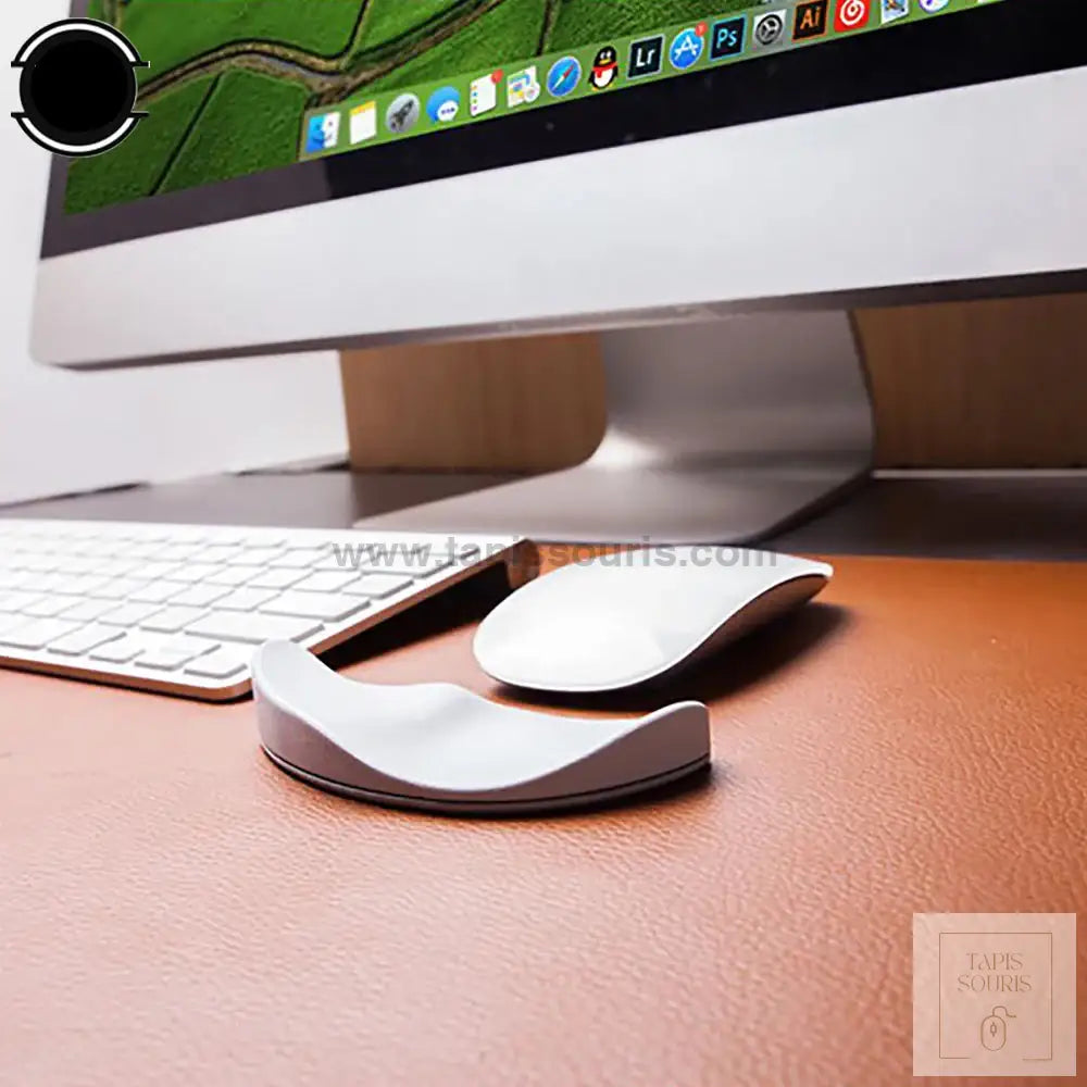 Souris Repose Poignet